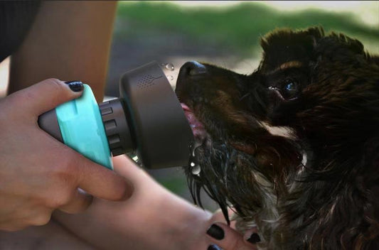 Dog Pet Outdoor Foldable Bottle
